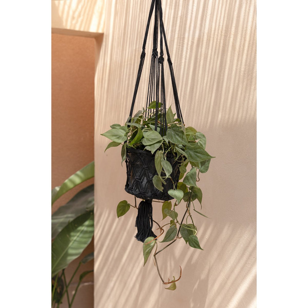 Black macrame cotton plant hanger