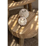 Natural seashell flower candle holder
