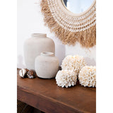 Natural seashell flower candle holder