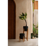 Black terracotta planter on teak branch stand