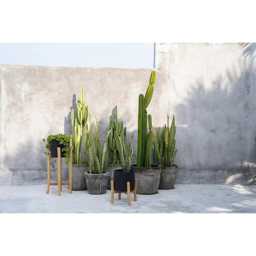 Black terracotta planter on teak branch stand