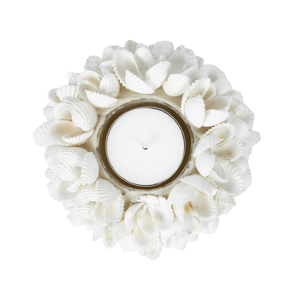 Natural seashell flower candle holder