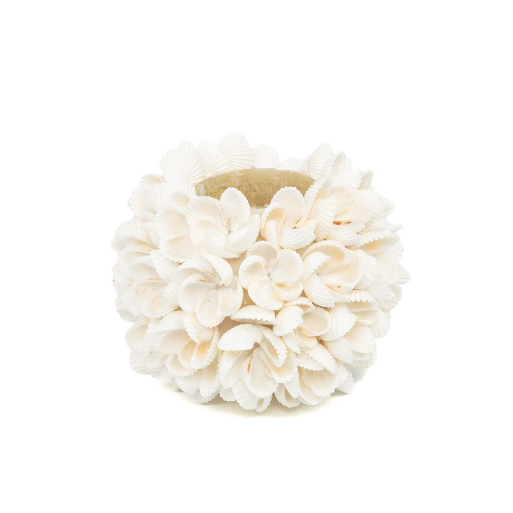 Natural seashell flower candle holder