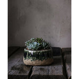 Green stoneware bowl planter with concrete-look finish