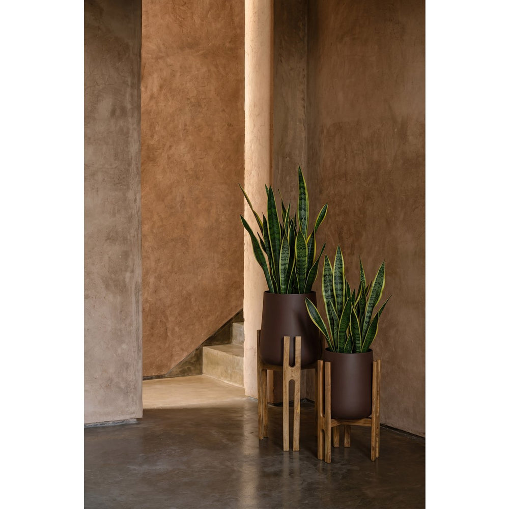 Brown concrete planter on mango wood forked-root stand