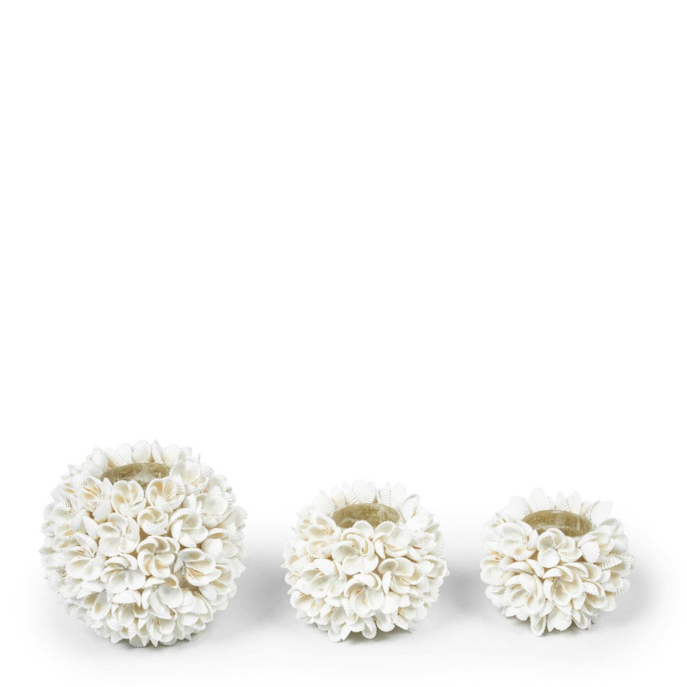 Natural seashell flower candle holder