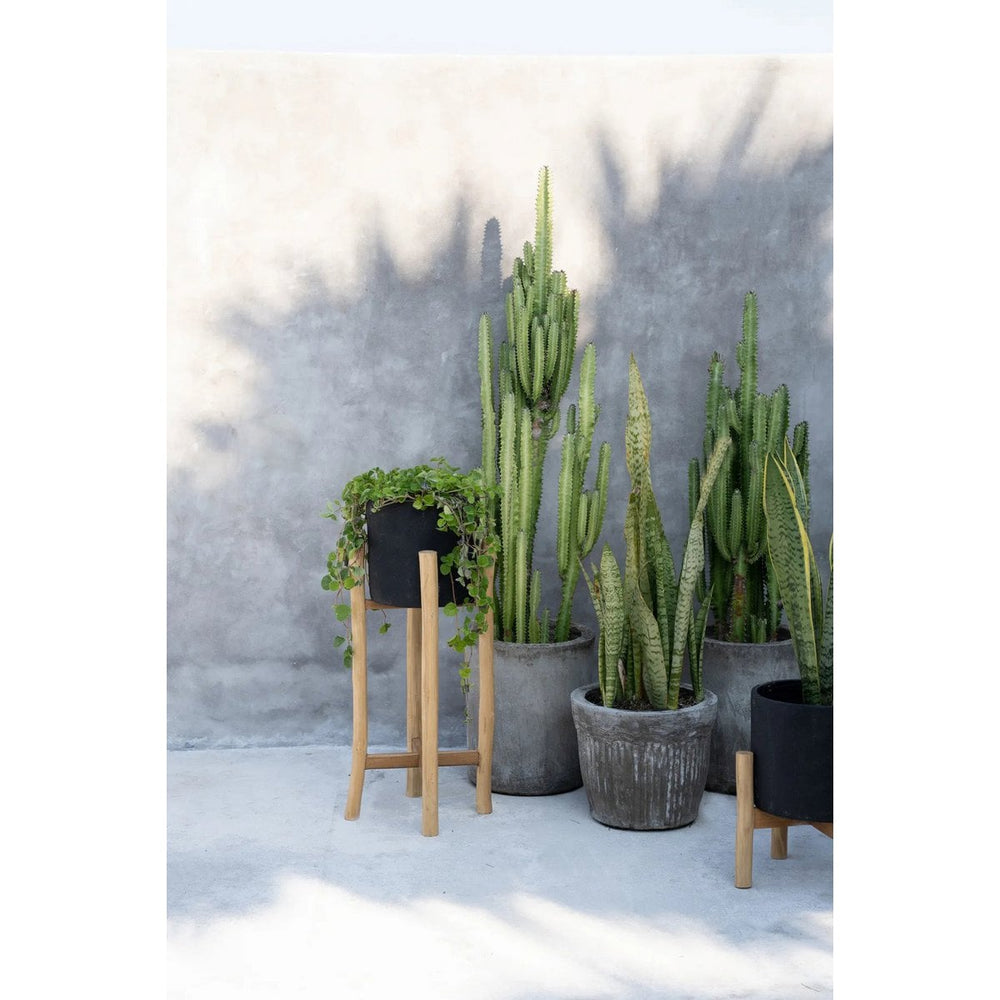 Black terracotta planter on teak branch stand