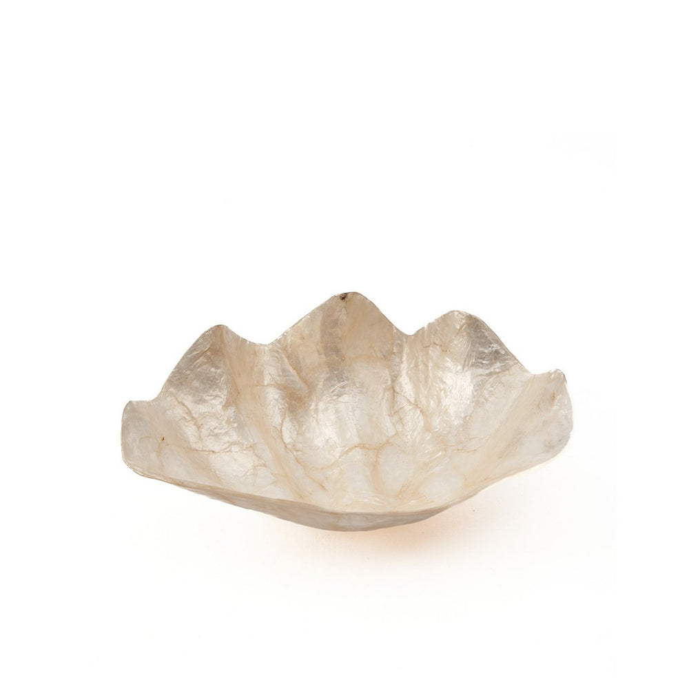 White shell soap dish