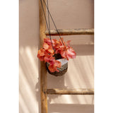 Natural white banana leaf hanging plant basket