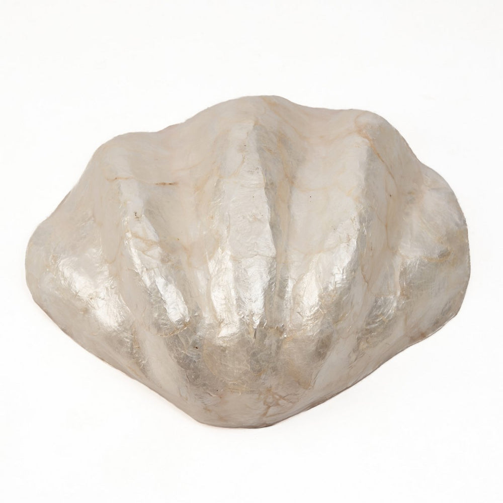 White shell soap dish
