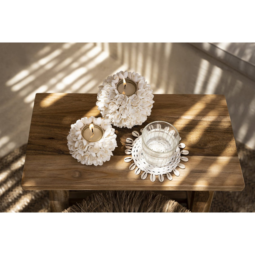 Natural seashell flower candle holder
