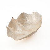 White shell soap dish